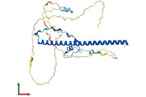 AlphaFold protein structure predicition of Mouse Recombinant Dbp Protein, UniprotID Q60925 (DBP Protein (AA 1-325) (His tag))