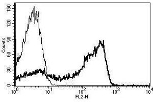 A typical staining pattern with the B-E2 monoclonal antibody of lymphocytes (CD2 antibody  (Biotin))