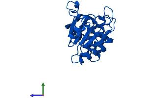 AlphaFold protein structure predicition of Mouse Recombinant Dusp3 Protein, UniprotID Q9D7X3