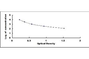 Typical standard curve (AMH ELISA Kit)