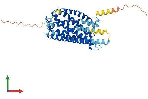 Protein Structure (PS) image for Purinergic Receptor P2Y, G-Protein Coupled, 13 (P2RY13) (AA 1-337) protein (His tag) (ABIN7561122)