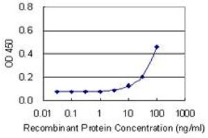 Detection limit for recombinant GST tagged CDO1 is 3 ng/ml as a capture antibody. (CDO1 antibody  (AA 101-200))
