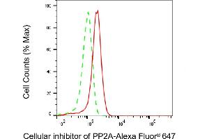 anti-KIAA1524 (KIAA1524) antibody