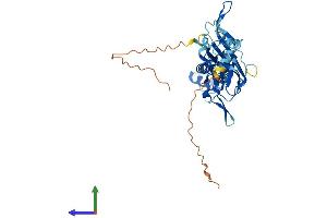 AlphaFold protein structure predicition of Mouse Recombinant Kcnj11 Protein, UniprotID Q61743 (KCNJ11 Protein (AA 1-390) (His tag))
