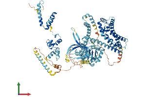 AlphaFold protein structure predicition of Human Recombinant ECT2L Protein, UniprotID Q008S8 (ECT2L Protein (AA 1-904) (His tag))