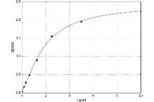 Protein BANP (BANP) ELISA Kit