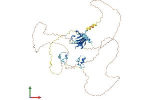 AlphaFold protein structure predicition of Human Recombinant APLF Protein, UniprotID Q8IW19 (APLF Protein (AA 1-511) (His tag))