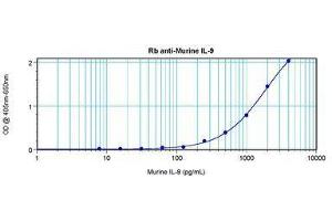 Image no. 3 for anti-Interleukin 9 (IL9) antibody (ABIN465833) (IL-9 antibody)