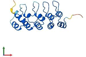 AlphaFold protein structure predicition of Mouse Recombinant Cdkn2c Protein, UniprotID Q60772