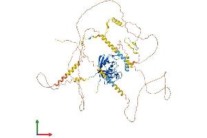 AlphaFold protein structure predicition of Human Recombinant PPIG Protein, UniprotID Q13427