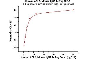 Immobilized SARS-CoV-2 S protein RBD, His Tag (ABIN6952628,ABIN6952651) at 1 μg/mL (100 μL/well) can bind Human ACE2, Mouse IgG1 Fc Tag (ABIN6972939) with a linear range of 0. (ACE2 Protein (AA 18-740) (mFc Tag))