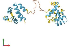AlphaFold protein structure predicition of Mouse Recombinant Pycard Protein, UniprotID Q9EPB4 (PYCARD Protein (AA 1-193) (His tag))