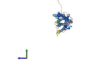 Protein Structure (PS) image for G Protein-Coupled Receptor 39 (GPR39) (AA 1-456) protein (His tag) (ABIN7557558)