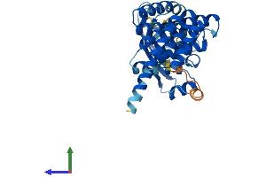 Protein Structure (PS) image for Aryl Hydrocarbon Receptor Interacting Protein-Like 1 (AIPL1) (AA 1-328) protein (His tag) (ABIN7560255)