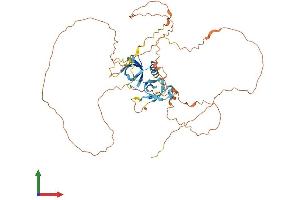 AlphaFold protein structure predicition of Human Recombinant C11orf16 Protein, UniprotID Q9NQ32 (C11ORF16 Protein (AA 1-467) (His tag))