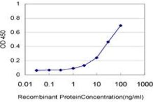 Detection limit for recombinant GST tagged ALDH2 is approximately 1ng/ml as a capture antibody. (ALDH2 antibody  (AA 408-517))