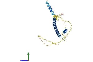 AlphaFold protein structure predicition of Mouse Recombinant Mxd4 Protein, UniprotID Q60948 (MXD4 Protein (AA 1-209) (His tag))