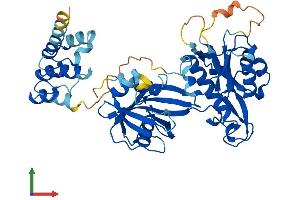 Protein Structure (PS) image for Nudix (Nucleoside Diphosphate Linked Moiety X)-Type Motif 12 (NUDT12) (AA 1-462) protein (His tag) (ABIN7550196)