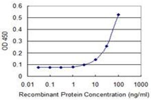 Detection limit for recombinant GST tagged TBX21 is 3 ng/ml as a capture antibody. (T-Bet antibody  (AA 387-486))