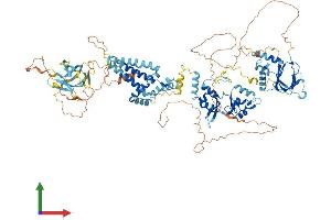 AlphaFold protein structure predicition of Mouse Recombinant Cnnm1 Protein, UniprotID Q0GA42