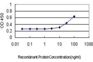 Detection limit for recombinant GST tagged XAB1 is approximately 3ng/ml as a capture antibody. (GPN1 antibody  (AA 9-118))