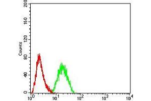 Flow cytometric analysis of Hela cells using CD2 mouse mAb (green) and negative control (red). (CD2 antibody  (AA 25-140))