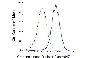 Validation of Creatine kinase B knockdown using flow cytometry.