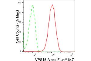Flow cytometric analysis of VPS18 expression in HepG2 cells using VPS18 antibody (ABIN7800813), 1:2,000). (Recombinant VPS18 antibody)
