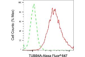 Flow cytometric analysis of TUBB4A expression in HAP-1 cells using TUBB4A antibody (ABIN7800659), 1:2,000). (TUBB4 antibody)