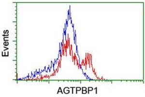 Flow Cytometry (FACS) image for anti-ATP/GTP Binding Protein 1 (AGTPBP1) (AA 368-753) antibody (ABIN1491459) (AGTPBP1 antibody  (AA 368-753))