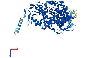 PTGIS Protein (AA 1-500) (His tag)