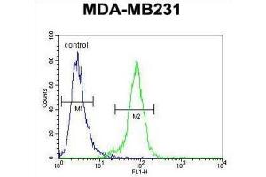 Flow Cytometry (FACS) image for anti-Phosphodiesterase 12 (PDE12) antibody (ABIN2995597)