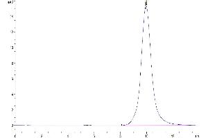 The purity of Human EPHB2 is greater than 95 % as determined by SEC-HPLC. (EPH Receptor B2 Protein (EPHB2) (AA 19-543) (His tag))