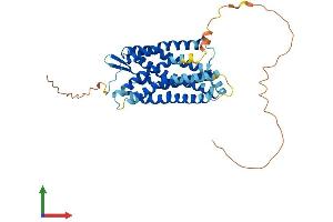 Protein Structure (PS) image for Purinergic Receptor P2Y, G-Protein Coupled, 2 (P2RY2) (AA 1-377) protein (His tag) (ABIN7550437)