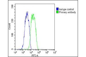 Overlay histogram showing HepG2 cells stained with (green line).
