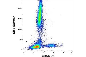 Flow cytometry surface staining pattern of human peripheral whole blood stained using anti-human CD56 (LT56) PE antibody (10 μL reagent / 100 μL of peripheral whole blood). (CD56 antibody  (PE))