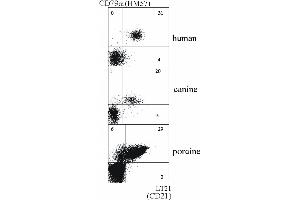 Double staining of human, canine and porcine B lymphocytes with anti-CD79a (HM57) and anti-CD21 (LT21) antibody. (CD21 antibody  (FITC))