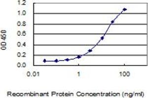 Detection limit for recombinant GST tagged FOLH1 is 0. (PSMA antibody  (AA 1-719))