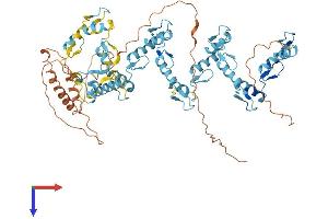 Protein Structure (PS) image for Zinc Finger Protein 311 (ZNF311) (AA 1-666) protein (His tag) (ABIN7545543)