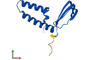 AlphaFold protein structure predicition of Mouse Recombinant Gtf2a2 Protein, UniprotID Q80ZM7
