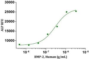 Activity Assay (AcA) image for Bone Morphogenetic Protein 2 (BMP2) (AA 283-396) (Active) protein (ABIN2017697)