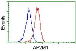 Flow cytometric Analysis of Jurkat cells, using anti-AP2M1 antibody (ABIN2454663), (Red), compared to a nonspecific negative control antibody, (Blue). (AP2M1 antibody  (AA 97-383))