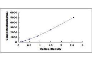 Platelet-Derived Growth Factor Receptor-Like (PDGFRL) ELISA Kit