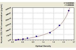 COL11A1 ELISA Kit