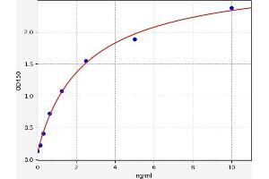 Syncollin (SYCN) ELISA Kit