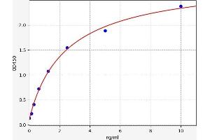 Typical standard curve (SYCN ELISA Kit)