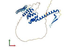 AlphaFold protein structure predicition of Human Recombinant TTC1 Protein, UniprotID Q99614