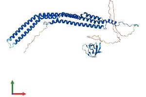 AlphaFold protein structure predicition of Human Recombinant PACSIN1 Protein, UniprotID Q9BY11
