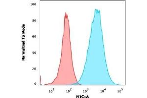 Flow Cytometric Analysis of A549 cells using S100A4 Recombinant Rabbit Monoclonal Antibody (S100A4/2750R) followed by goat anti-rabbit IgG-CF488 (Blue); Isotype Control (Red). (Recombinant s100a4 antibody  (AA 1-200))