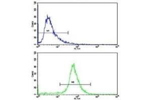 Flow cytometric analysis of 293 cells using VE Cadherin antibody (bottom histogram) compared to a negative control (top histogram). (Cadherin 5 antibody  (AA 106-134))